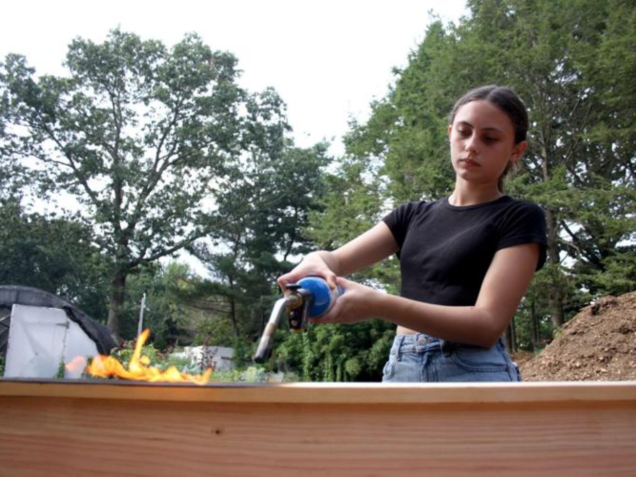 Four raised beds, measuring 3 feet by 12 feet, were installed over a recent weekend and will support native plants for local residents