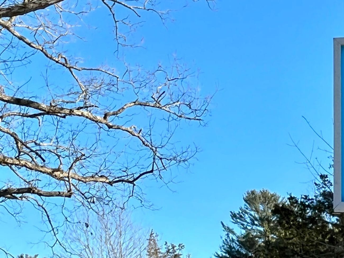 SHS CTE Habitat for Humanity Partnership